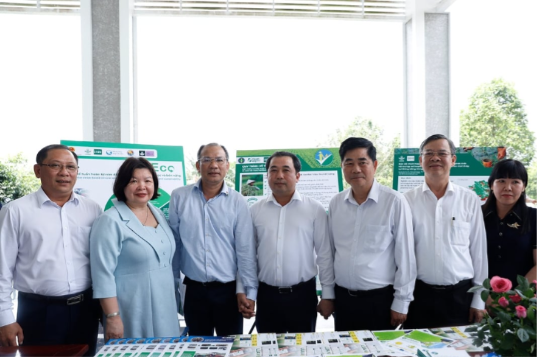 Hợp tác xã giữ vai trò trung tâm trong Đề án 1 triệu hecta lúa chất lượng cao